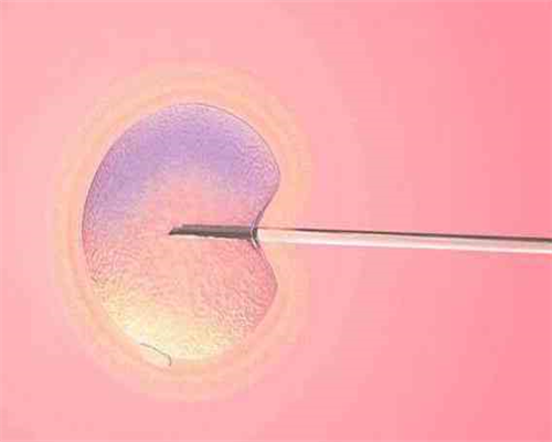 供卵哪里不用等_去泰国自己找供卵,北海供卵试管中心排行榜,潍坊供卵试管