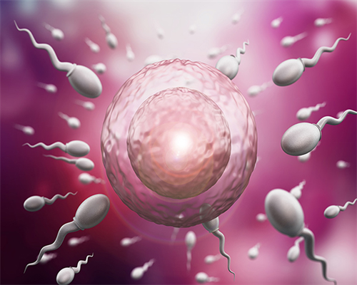 三代试管经历_印度捐卵试管,河南三代试管濮阳三代试管筛查