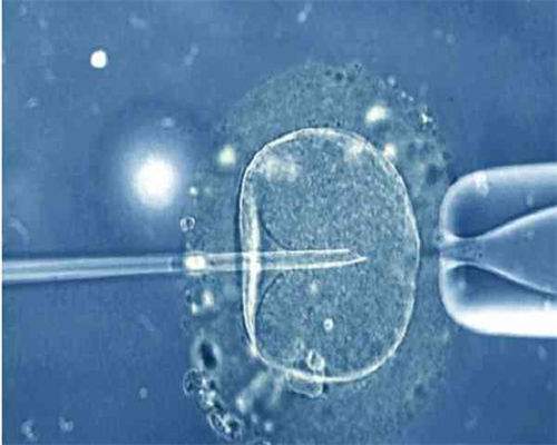 正规借卵,北京助孕机构哪家好？北京试管试管助孕机构正规流程是关键