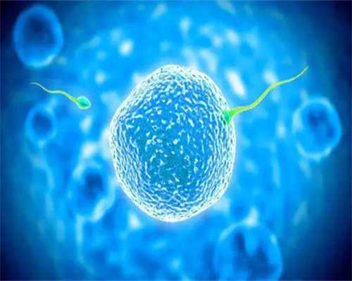 金贝捐卵试管_供卵试管费用,诸城试管医院(临海试管婴儿医院)