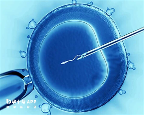 2026湖南试管三代供卵多少钱？附费用明细清单及医院排行榜单
						