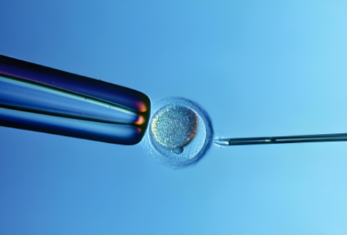 金贝供卵_金贝供卵试管的费用|美国供卵试管婴儿攻略及费用？美国试管一次需