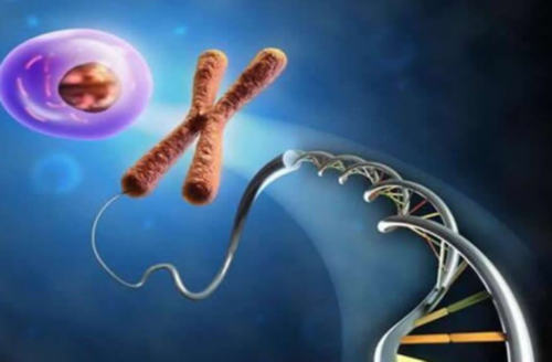 地下供卵可靠试管_绝经供卵成功率,台湾新竹送子鸟供卵试管(台湾送子鸟供卵试