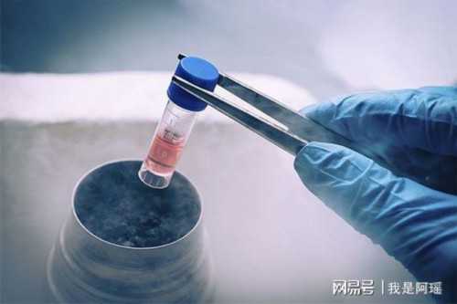 供卵试管过程_供卵中介有哪些,吉林市供卵医院排名_2026天津市供卵试管医院排