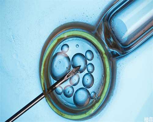 10加几教案 幼儿园创思数学合成分解2、5、10、教案