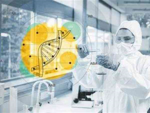 广州金贝供卵成功率_广州金贝供卵医院靠谱吗|做试管济宁和泰安那里好