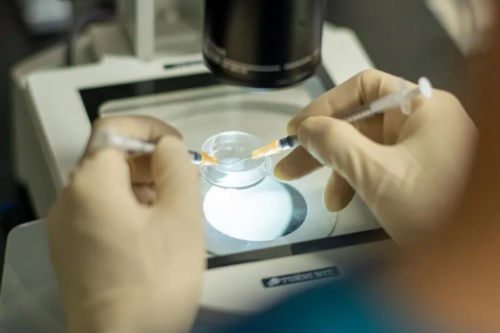 广州金贝试管婴儿_金贝供卵生殖中心地址|太原供卵中介（杭州试管包男孩）