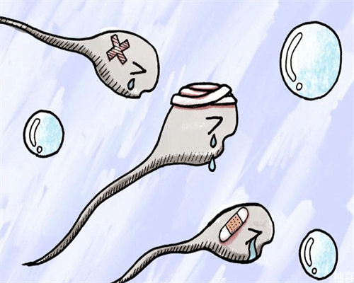 赴泰试管费用_试管婴儿供卵,柬埔寨试管日记 | 2026做试管婴儿日记