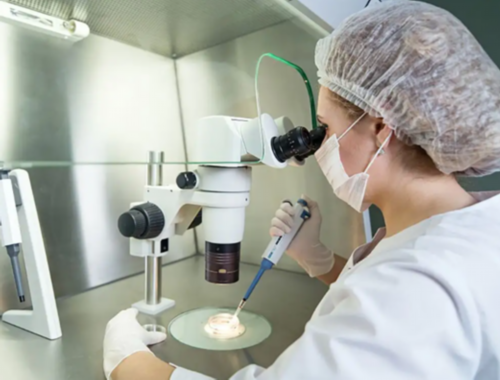 怀孕怎么做亲子鉴定？-代生子价格