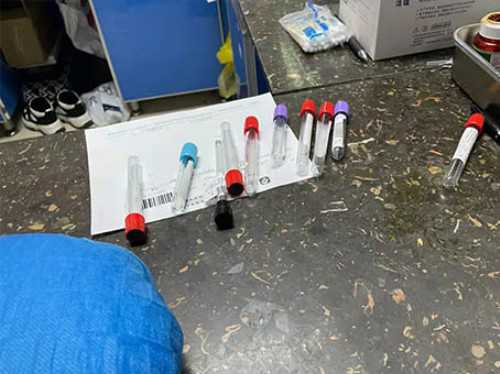 代怀生子费用,北京助孕公司试管价格表最新消息？