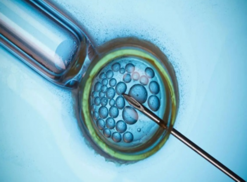 代孕供卵试管,濮阳试管助孕生混血婴儿价格是多少